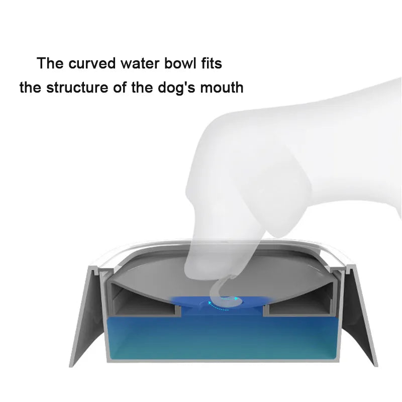 SplashSafe Pet Water Bowl