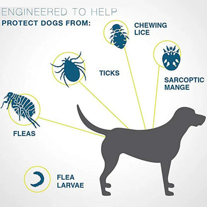 GuardianPaw 8-Month Flea & Tick Shield